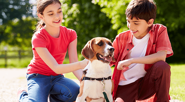 A brown and white dog happily sits between two children outside on a sunny day.